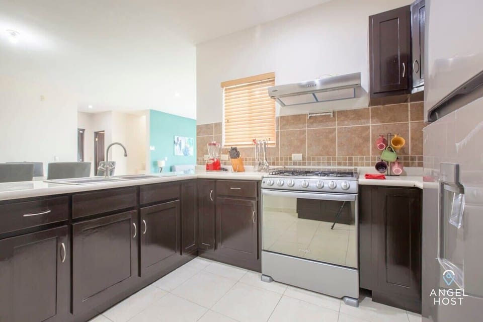 Gas stove and oven