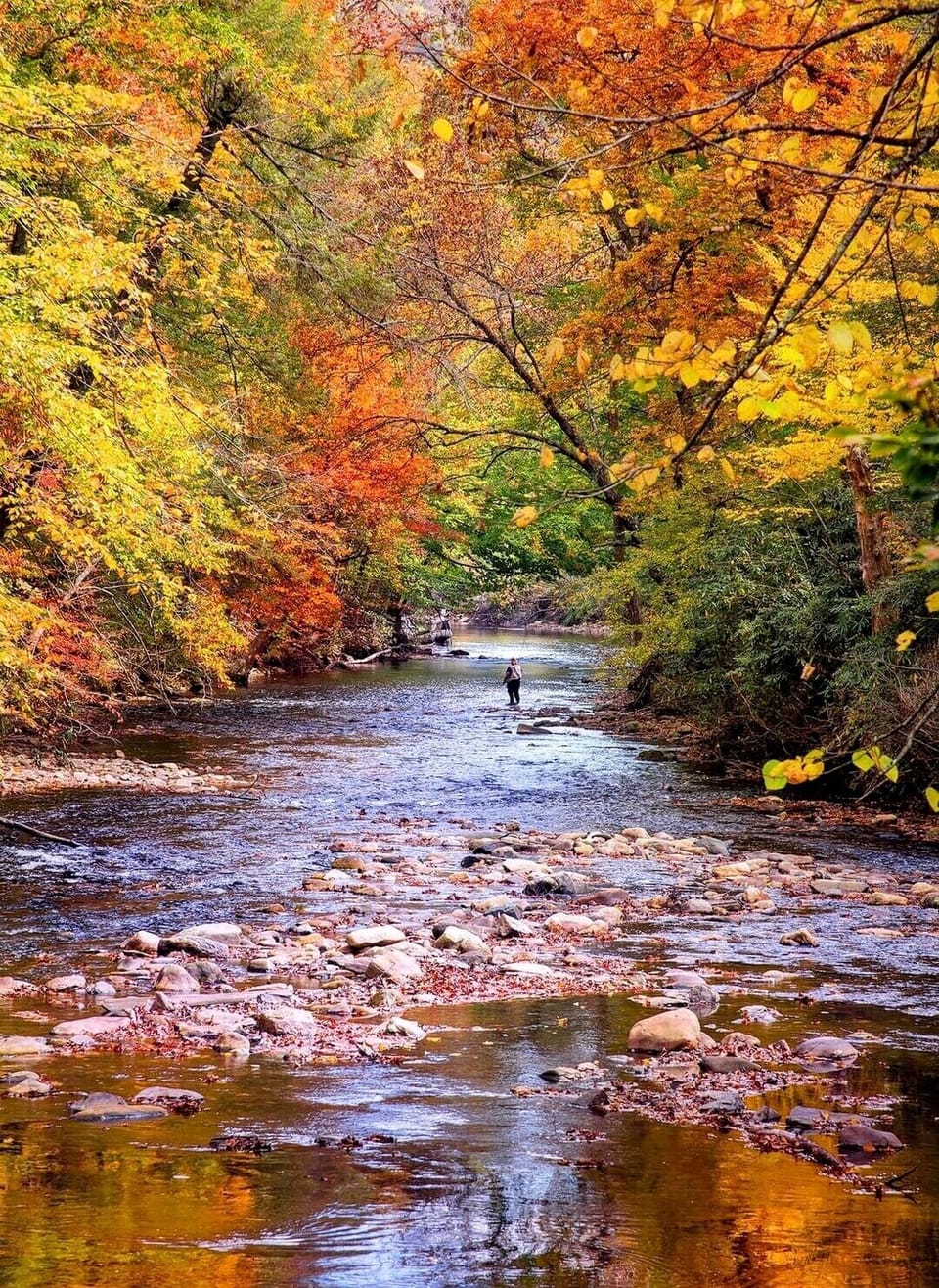 Nearby Stone Mountain State Park