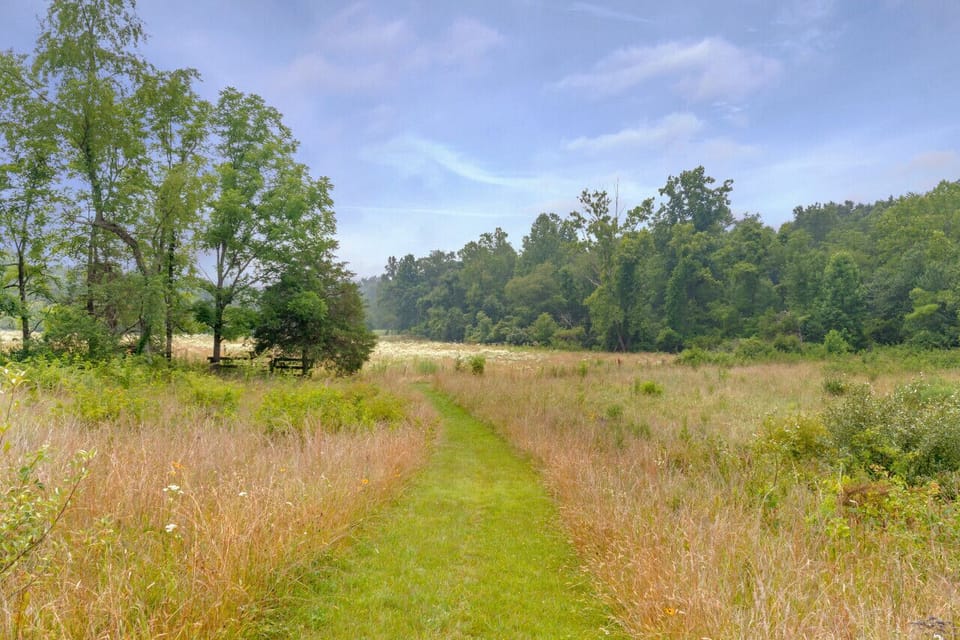 Path cleared on the property to walk around, enjoy nature, and head down to the private creek
