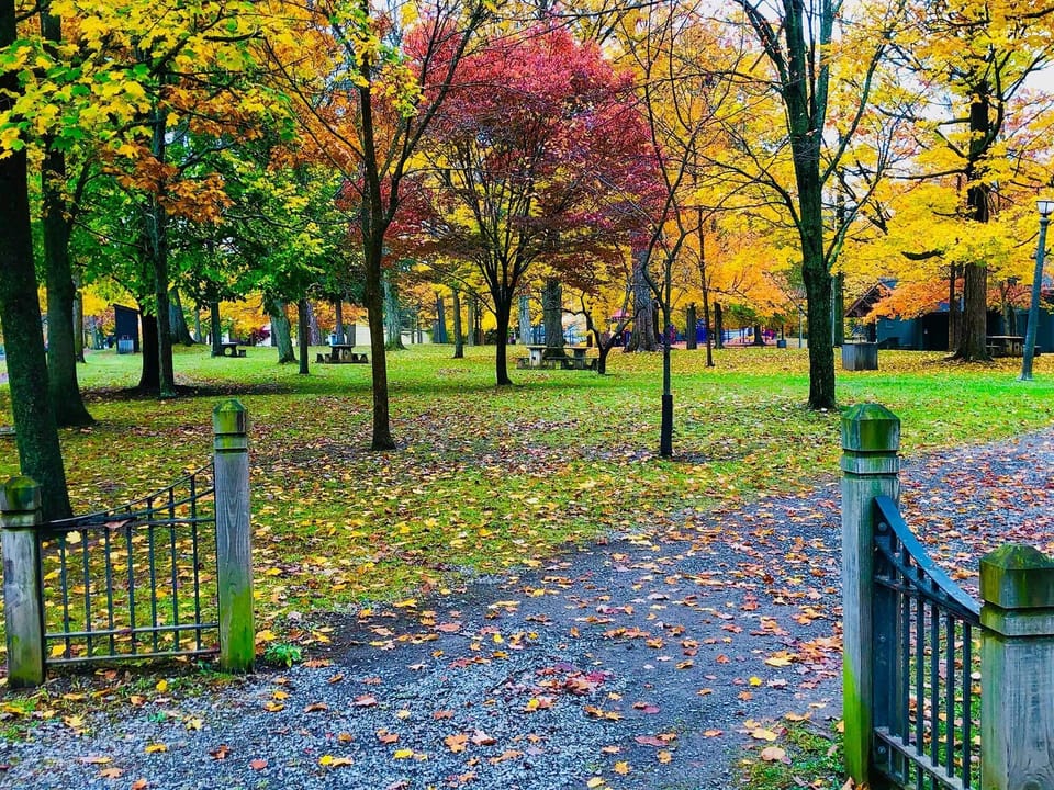 Hamlin Park - just steps away