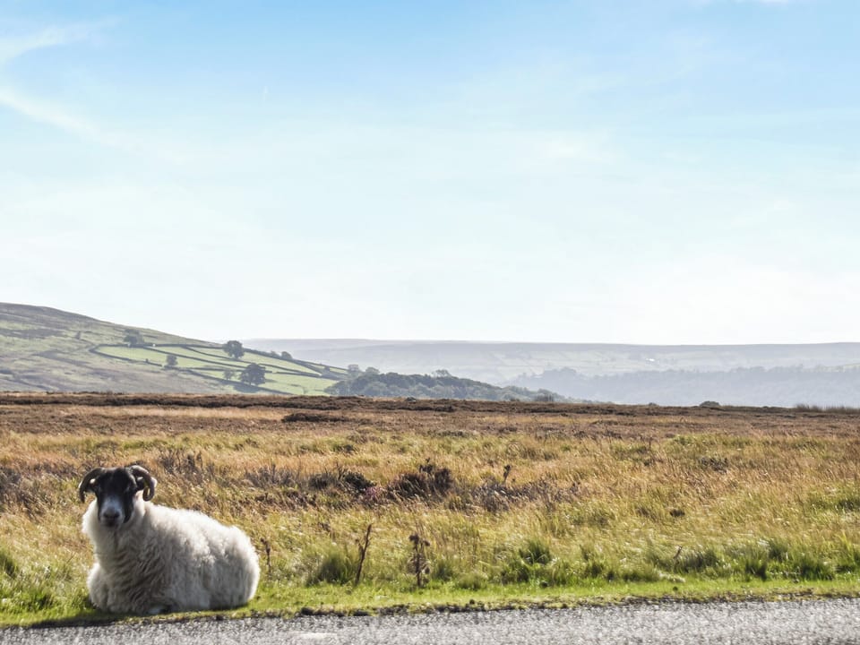 Surrounding area | York Apartment - The Old Schoolhouse, Commondale, near Whitby