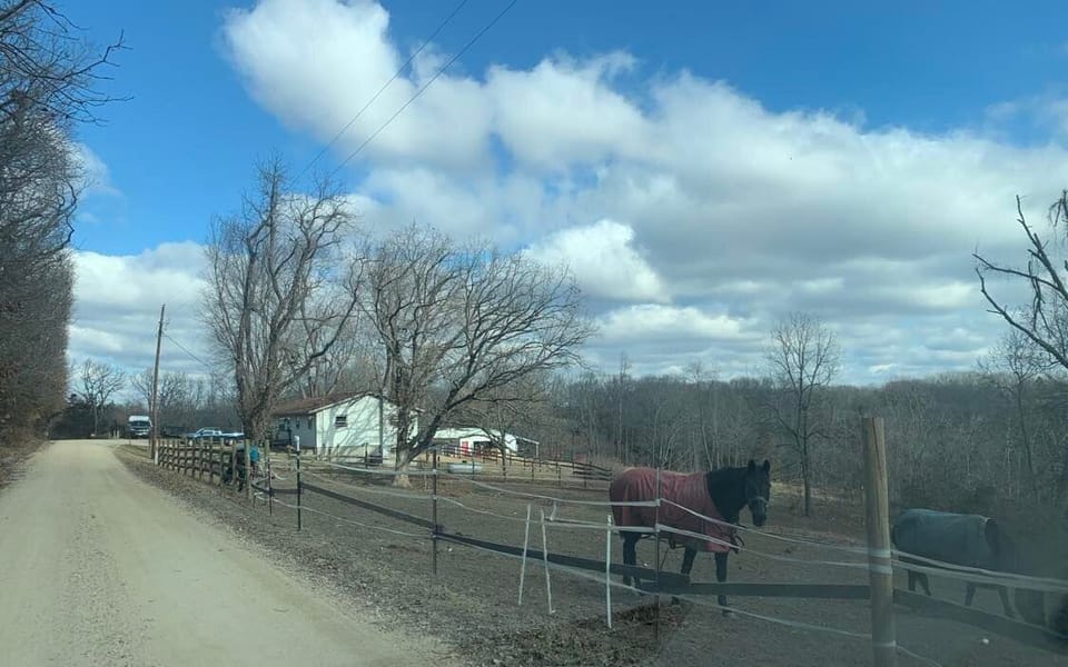 The road to the farm with a beautiful view