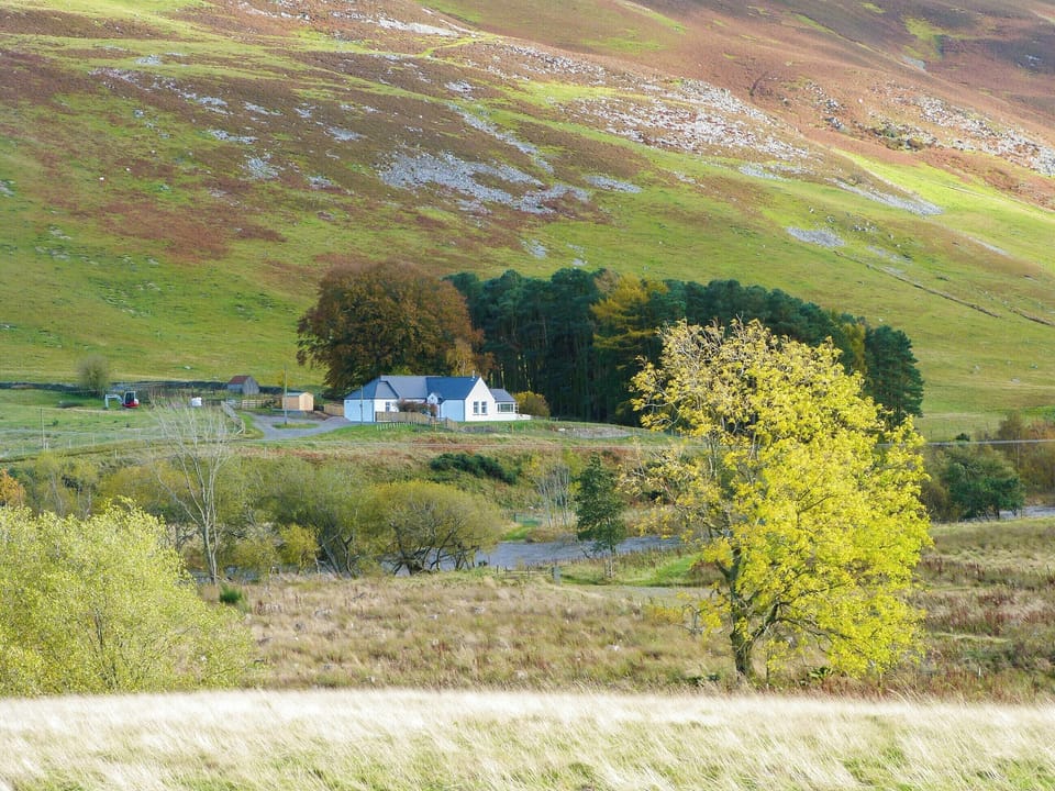 Setting | Tweedford Cottage - Drumelzier Place Farm, Drumelzier, near Peebles