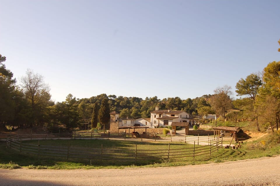 View from Holiday Home [summer]