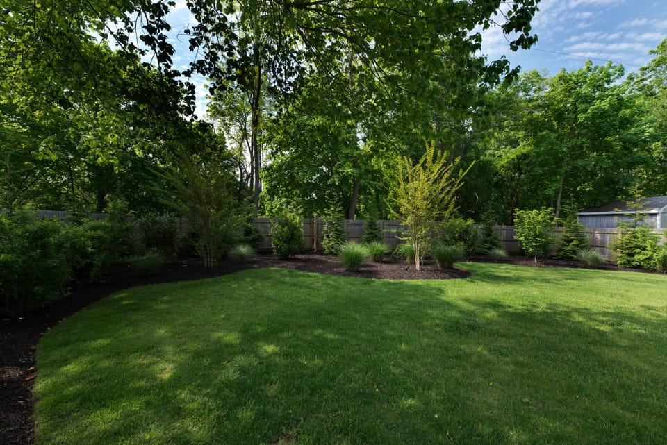 fenced in back yard