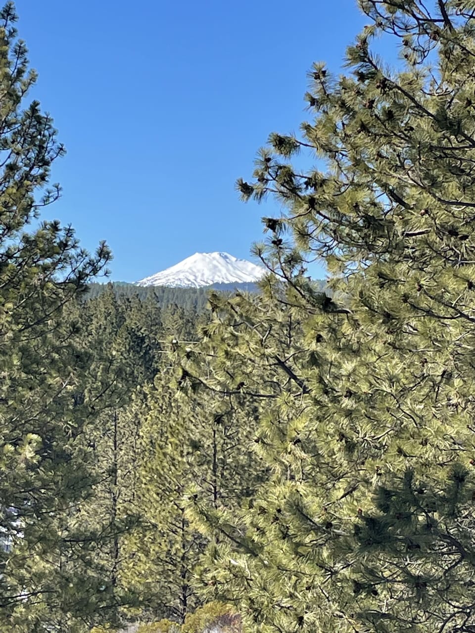 View of Mt. Bachelor from the Balcony.