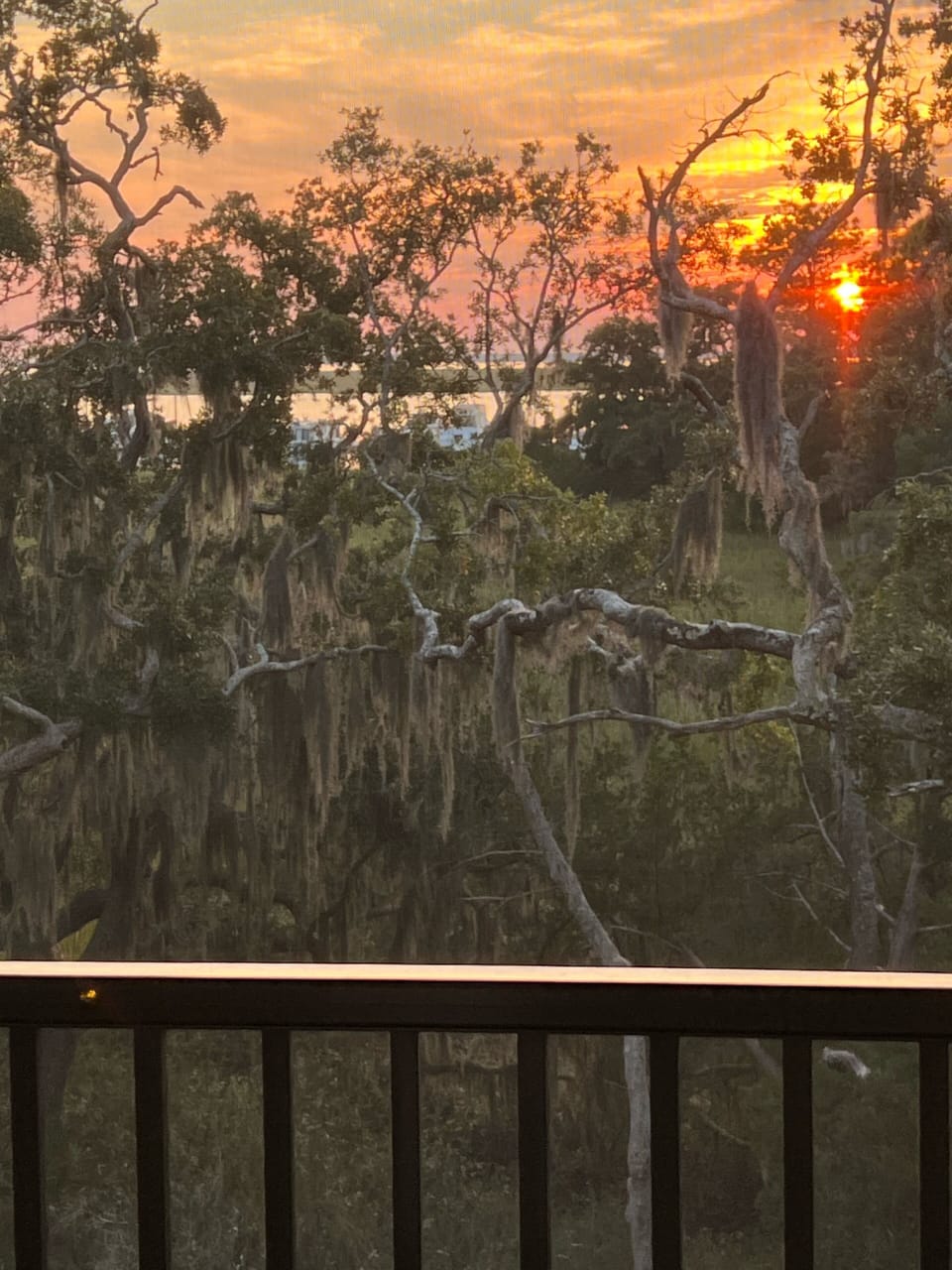sunset from screened-in porch