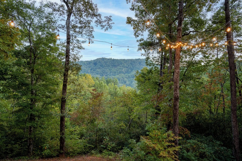 Two and a half private acres and a mountain view all your own. 