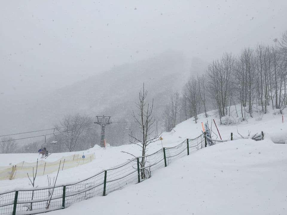 Snow and ski sports