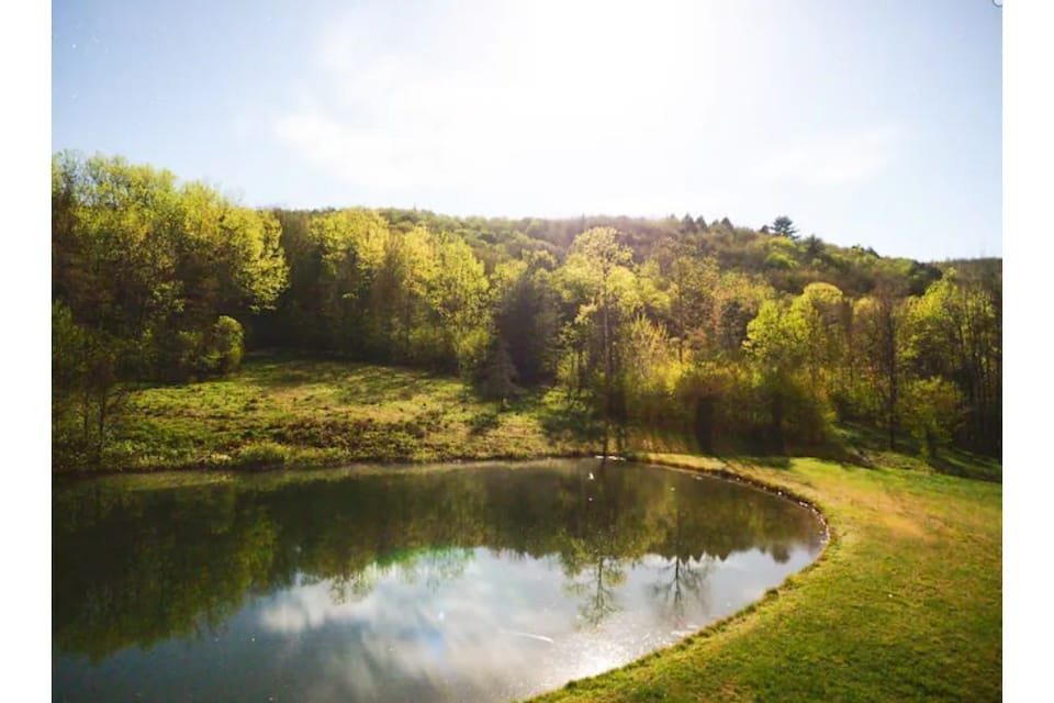 The upper pond, touched by summer sun. 