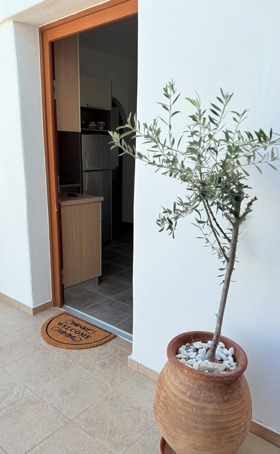 Entrance door to flat Kalypso