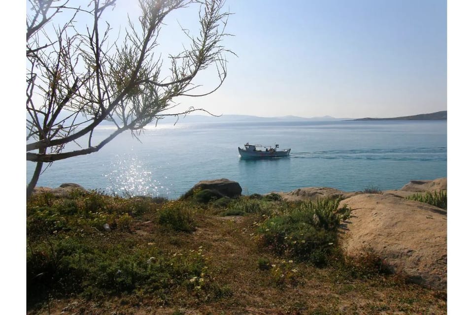 Agia Anna beach area