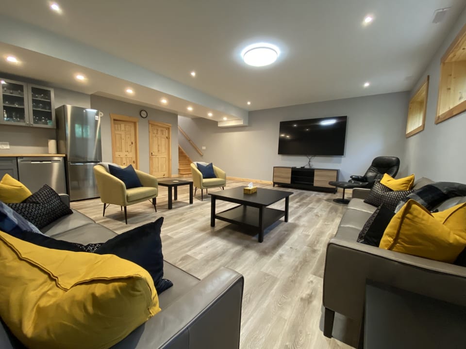 Entertainment area - basement level