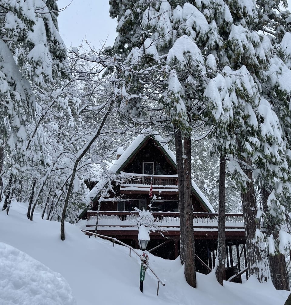 Winter 