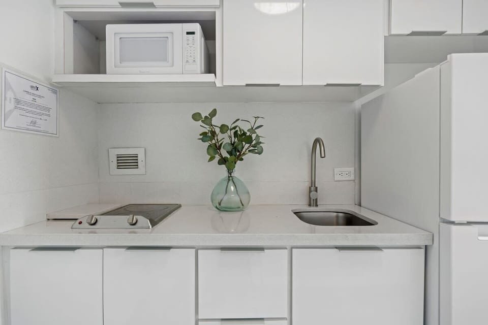 Kitchenette with 2 burner stovetop and microwave