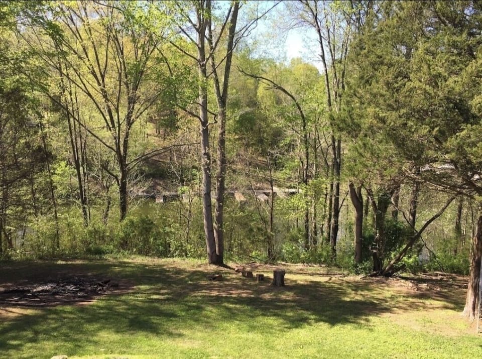 Backyard overlooking our cove