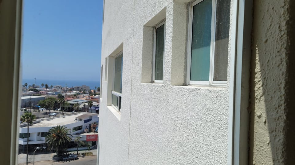 Rear windows of home