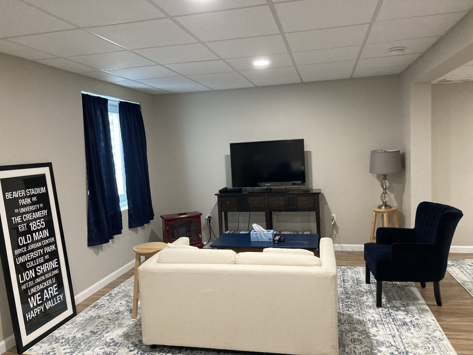 Basement TV seating area
