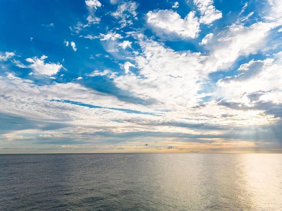 74645100 a374 4aba a526 3bd5d544fef6