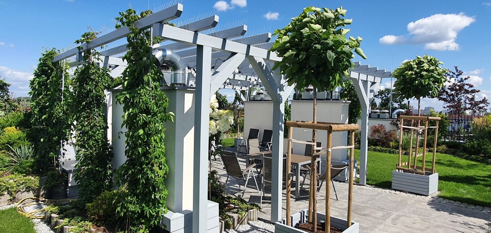 the garden on a roof of the building 