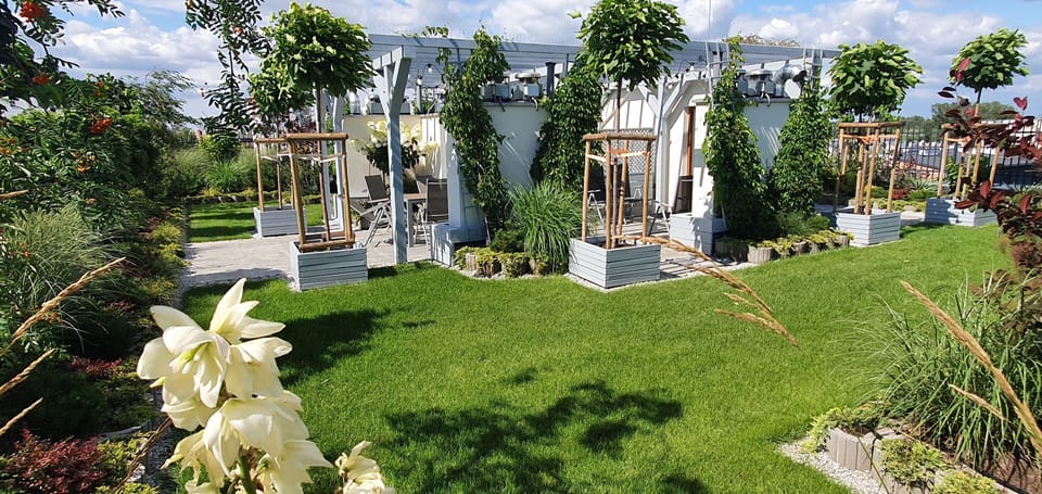 the garden on a roof of the building 