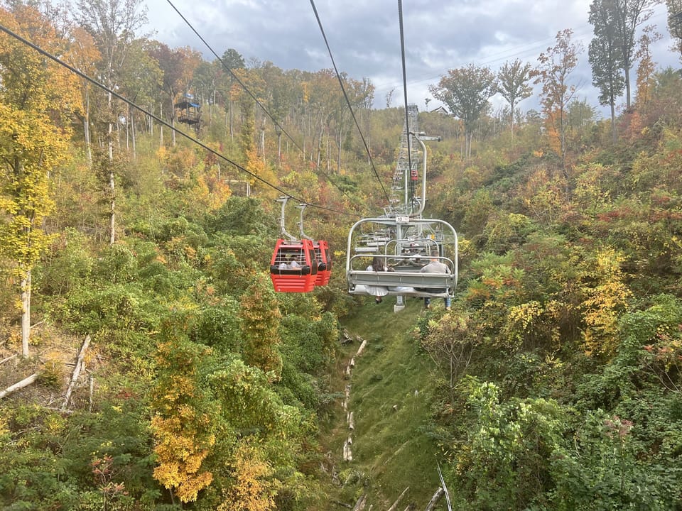Take a lift to the top of Anakeesta! Walk there from the condo!