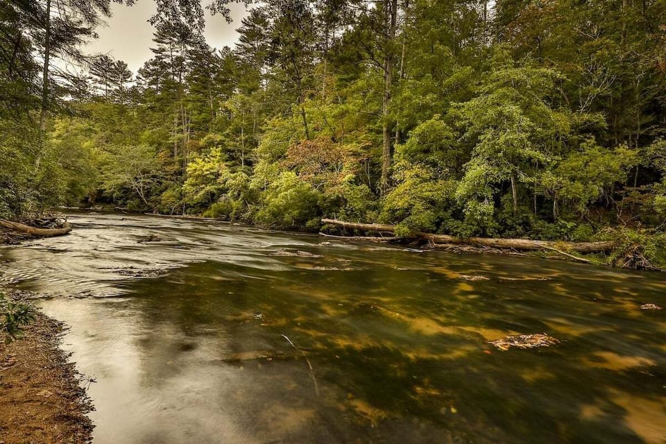 Gorgeous Mountaintown Creek - Trout Fishing