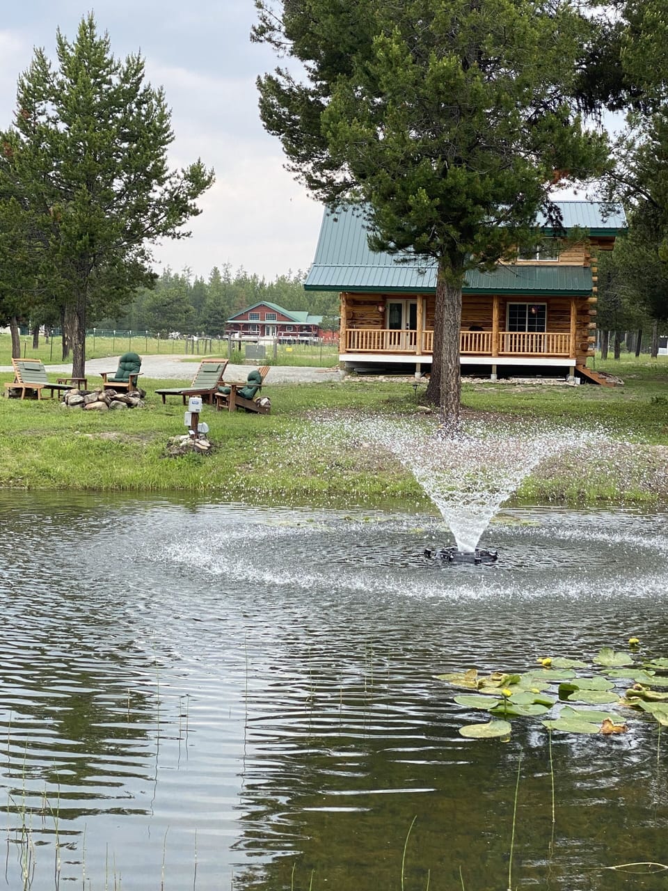 Welcome to Judy’ Jewel at the Crazy AS Ranch