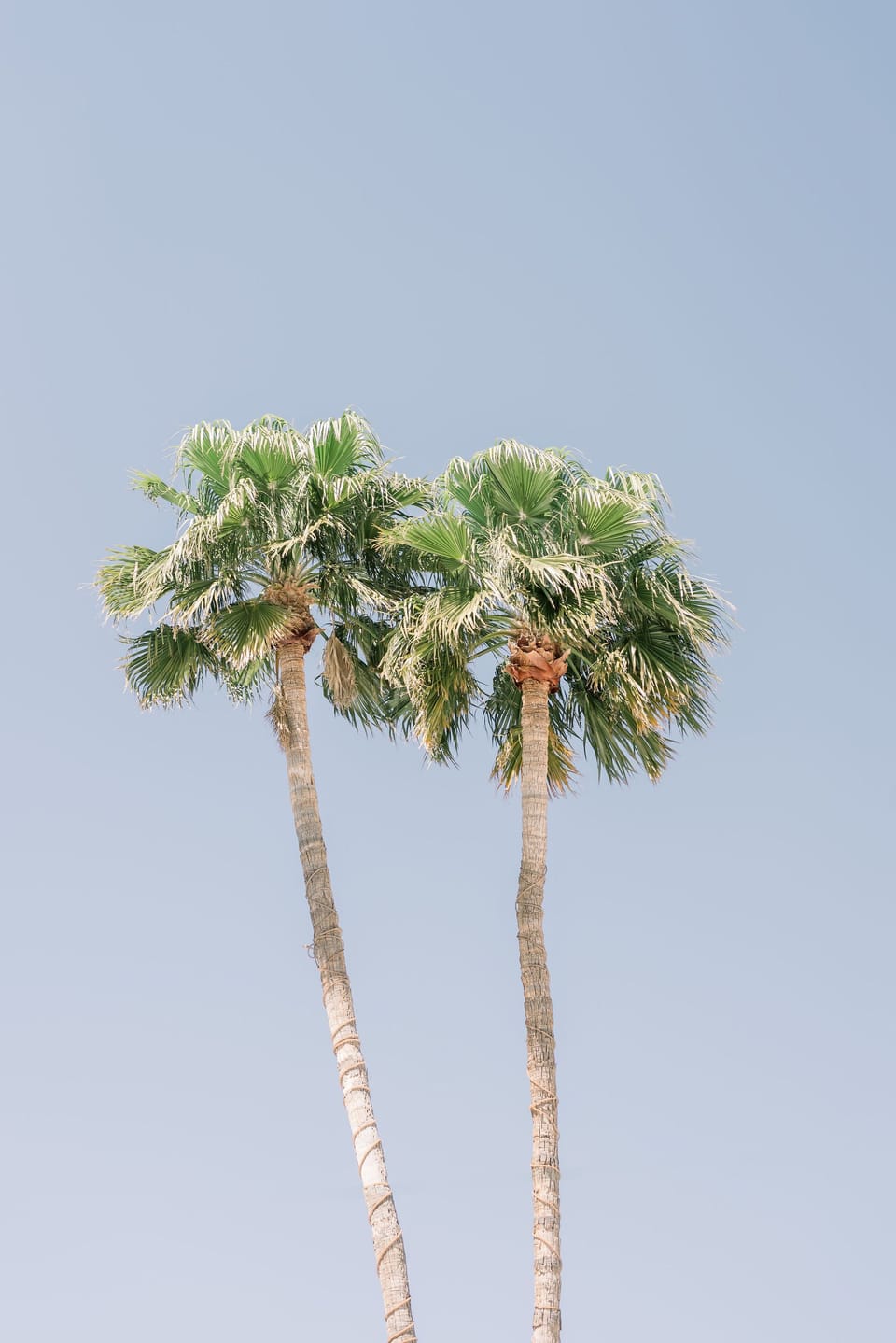 Shopping/dining is available at La Encantada & Tucson Mall, a 10 min drive away.