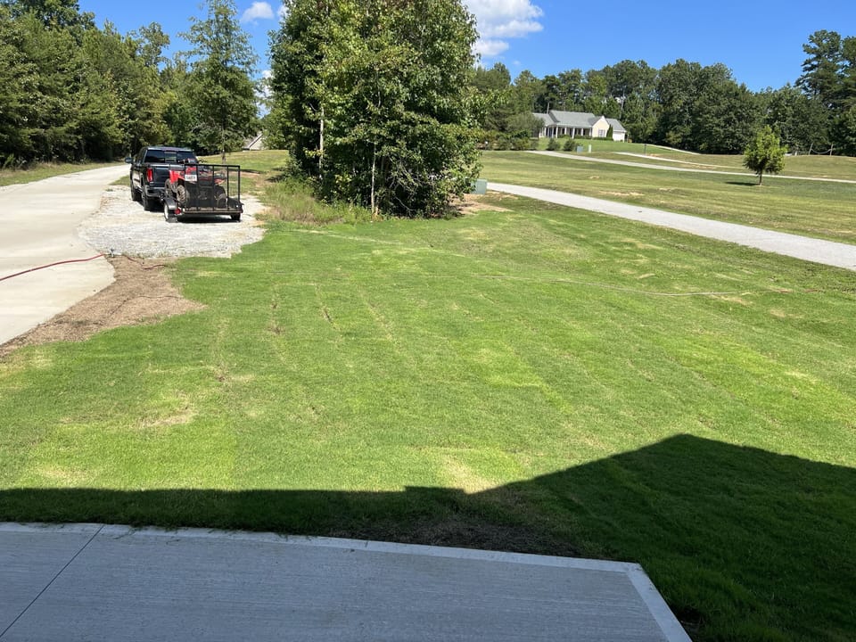 Very large front yard and entrance to the house