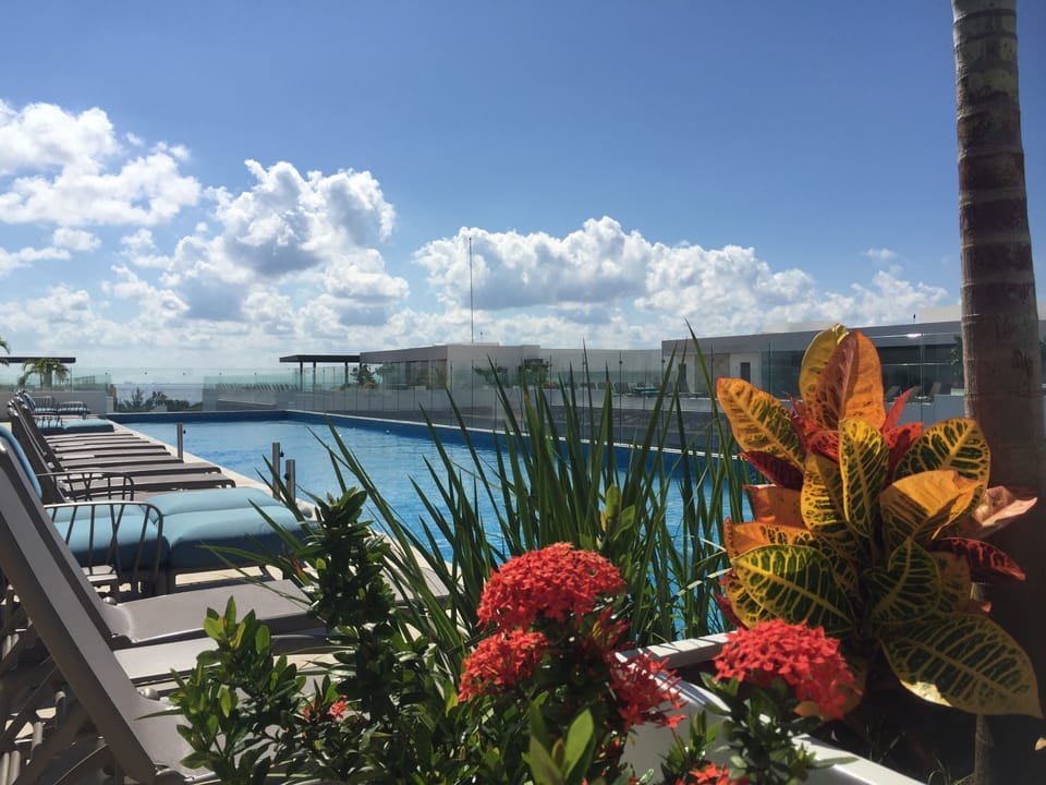 Blooming flowers poolside