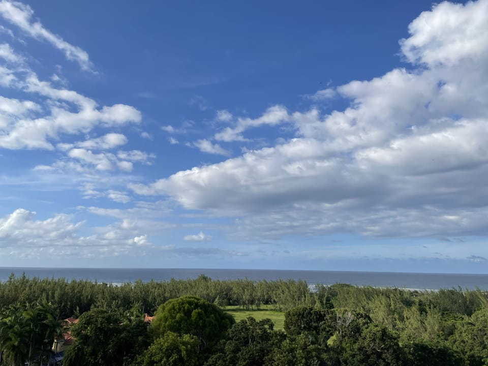 Panoramic view from roof top.