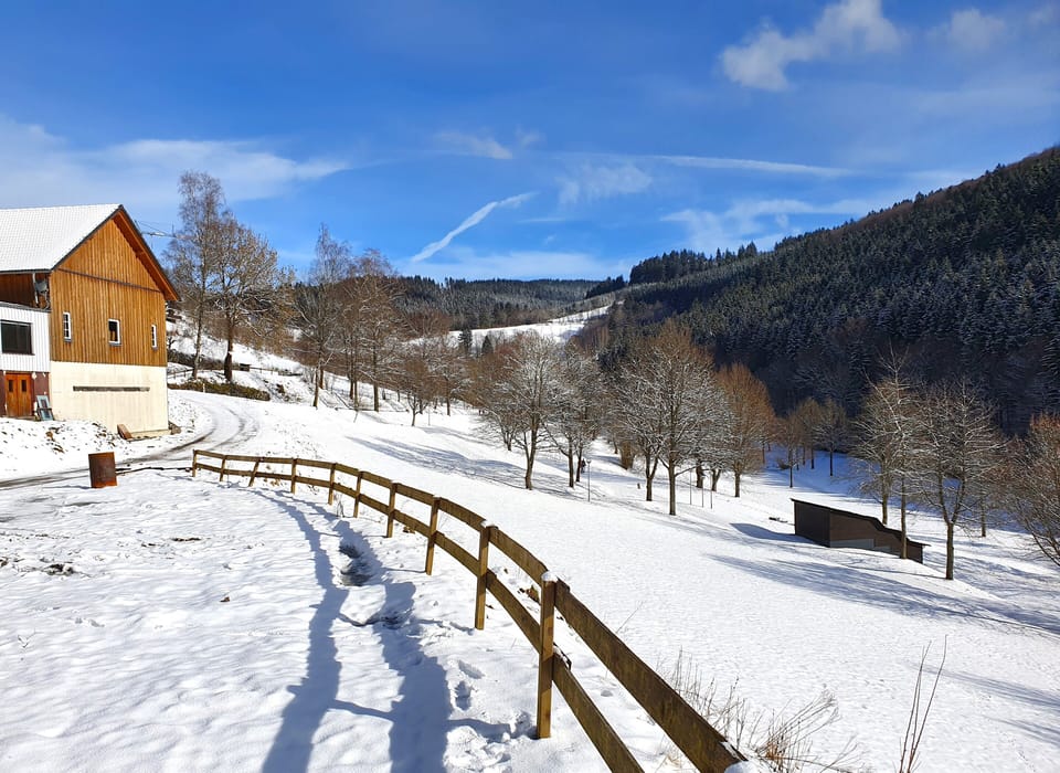 Snow and ski sports