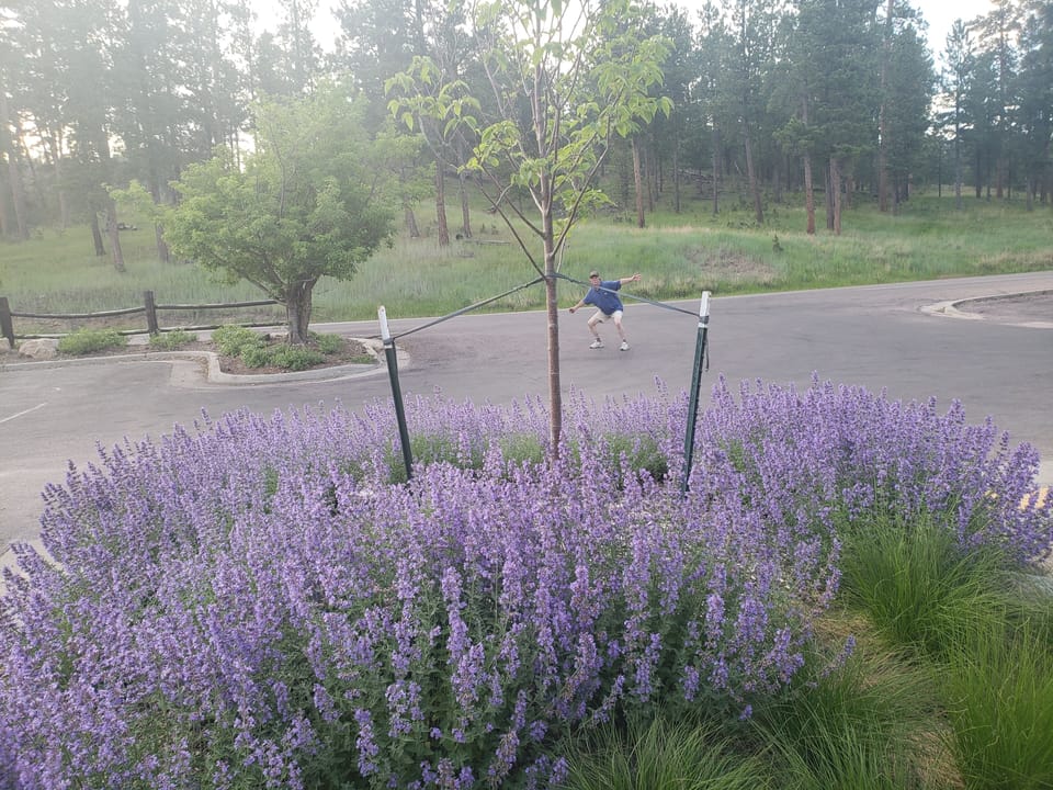 Nearby Legion Lake area