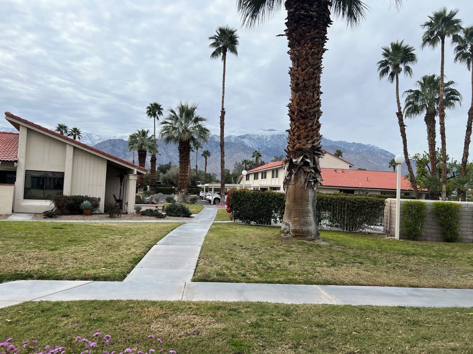 View from the front patio