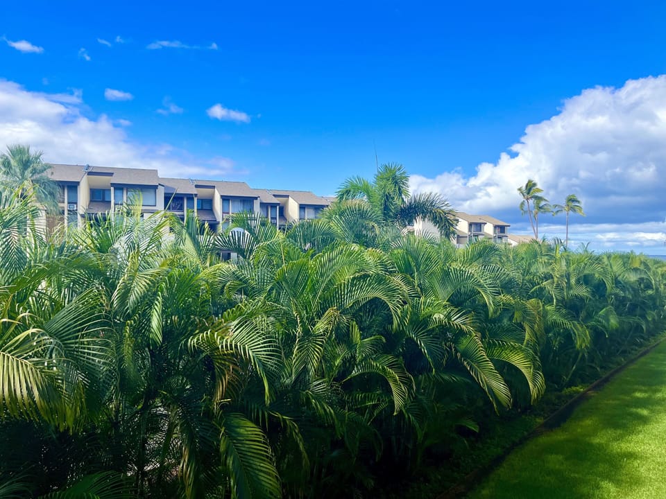 LOVELY Kihei Condo!!! Across from Kamaole Beach III Apartment in Wailea