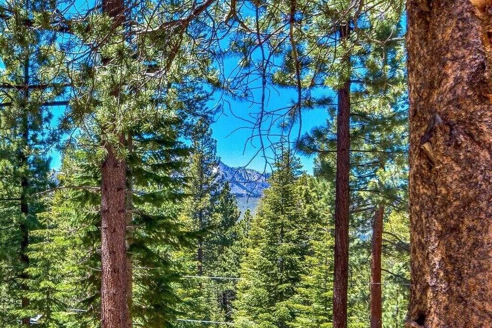 The property is backed by conservancy land, so you can enjoy the peace and quiet of the forest as you breathe in the fresh mountain air.
