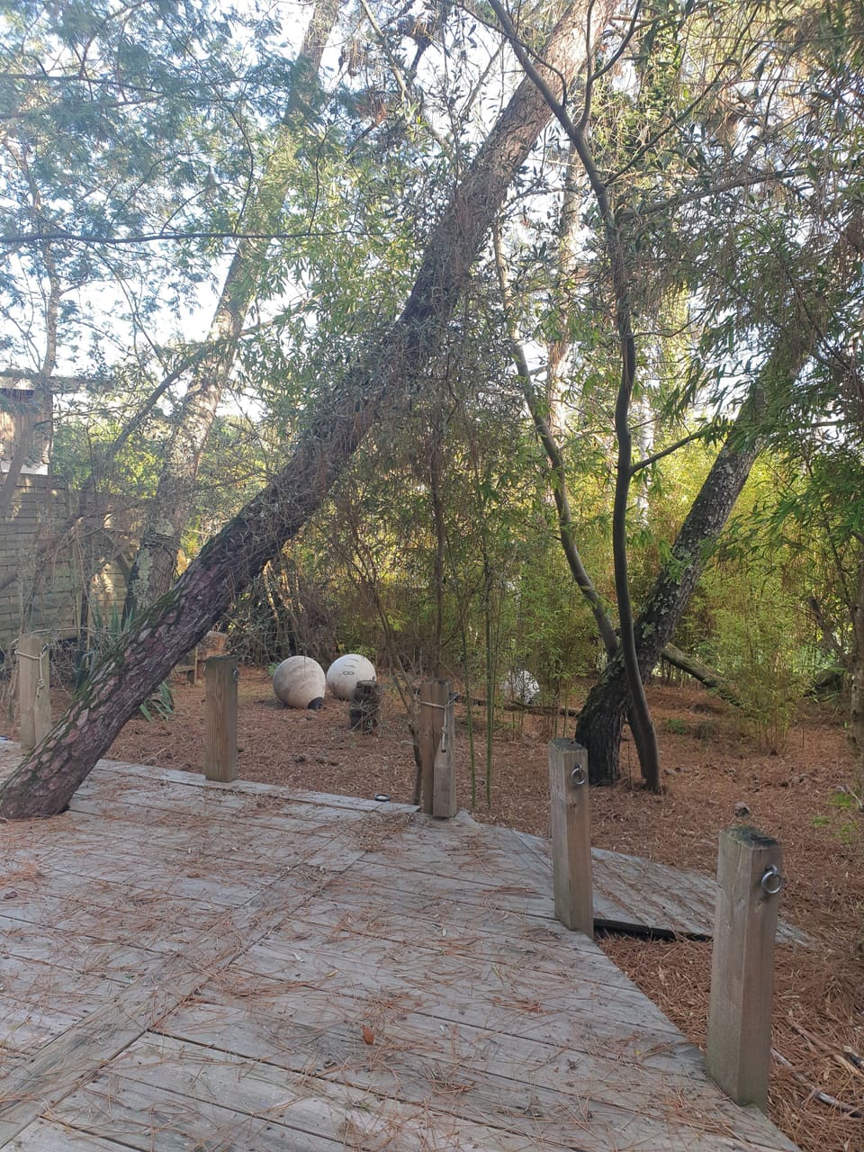 Property grounds