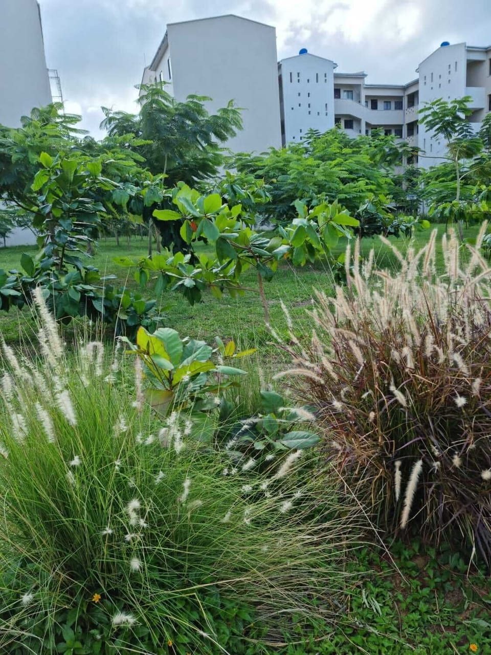 Property grounds
