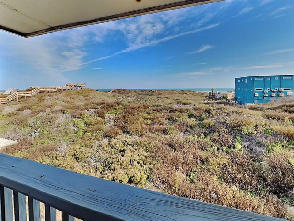 Gorgeous Nature & Gulf Views