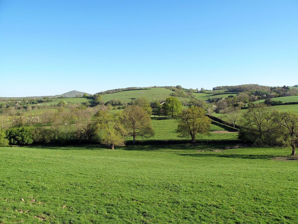 Furniture, Cabinetry, Property, Table, Tableware, Interior Design, Dishware, Wood, Countertop, Drawer