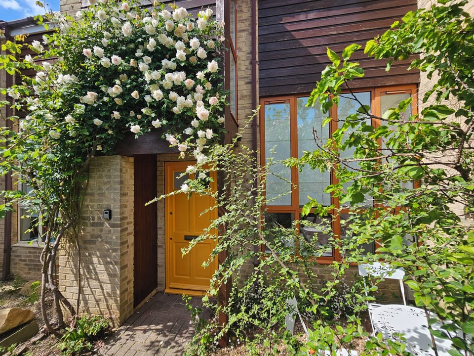Front of the house with spring roses