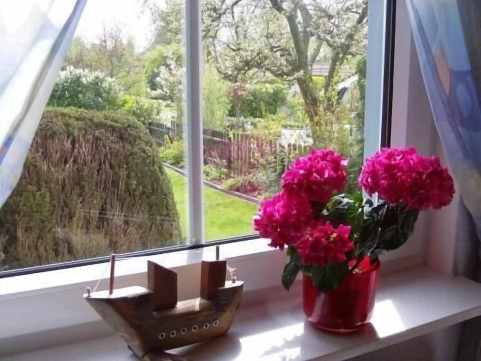 View from the window