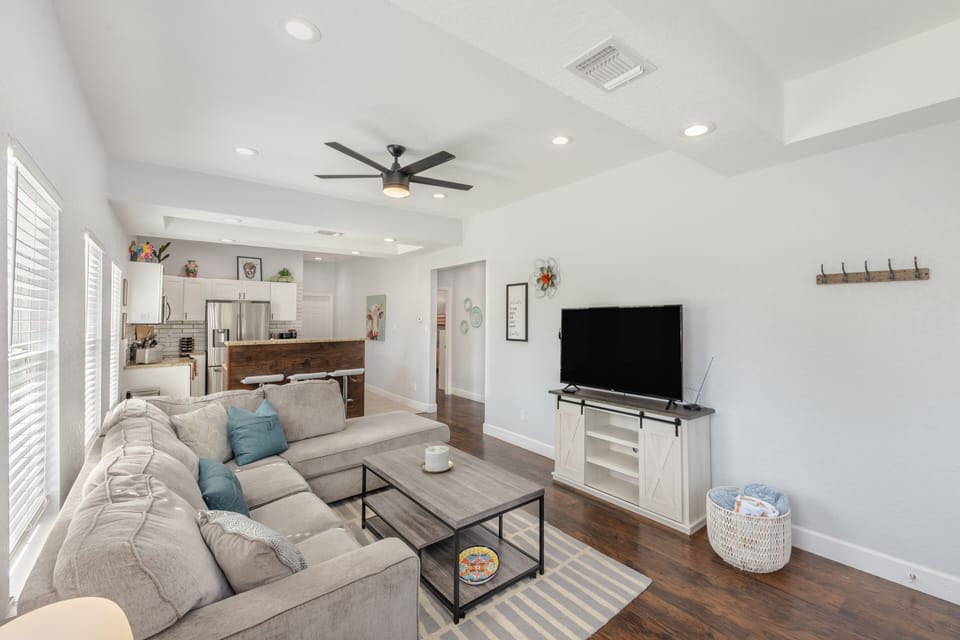 Living room with ROKU tv and sleeper sofa