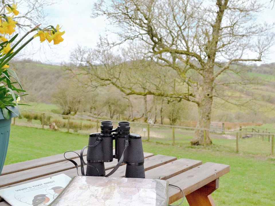 Delightful sitting out area | Pippins, Penybont