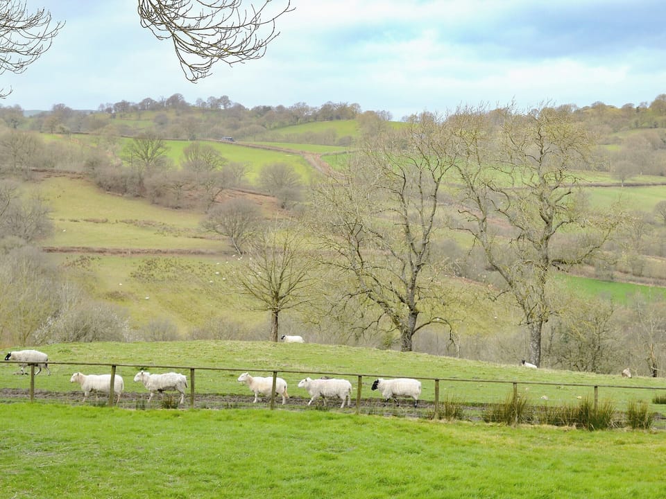 Views towards the surrounding countryside | Pippins, Penybont