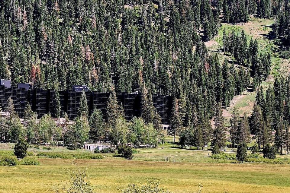 Gorgeous luxury condos in the Tahoe Forest
