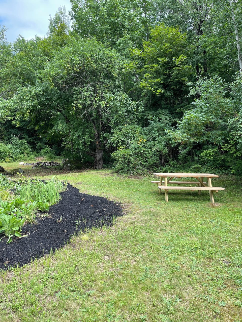 Backyard.