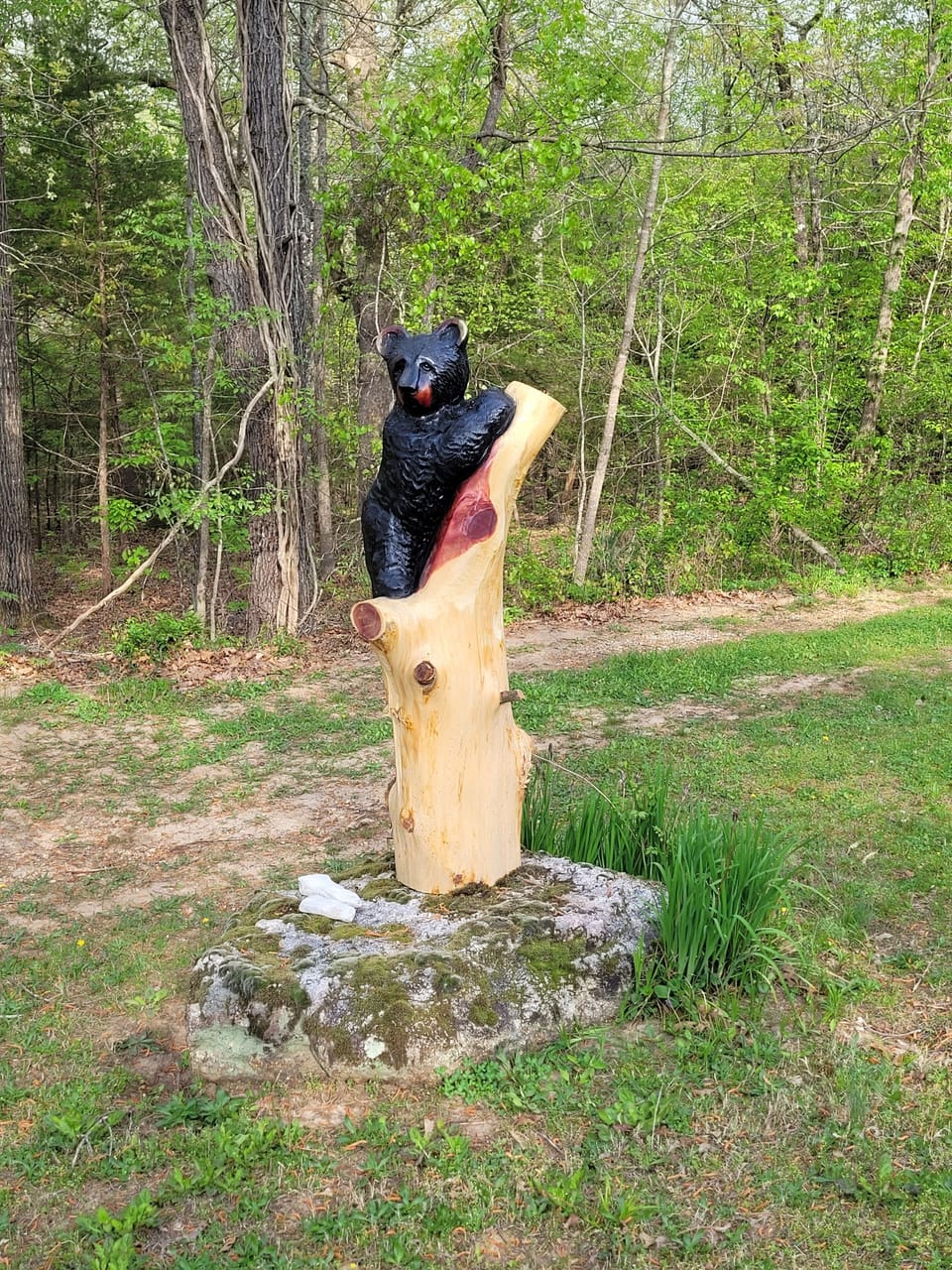 Our latest addition. 