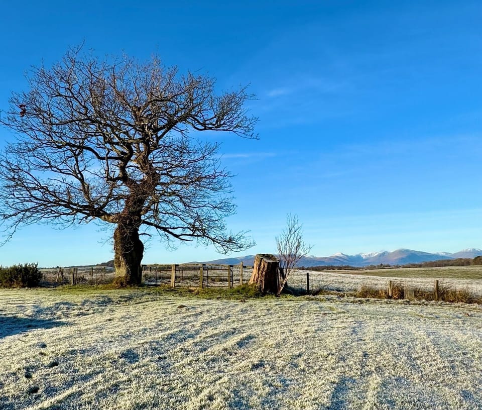 Image picker 83A9E4B0 8E27 44A5 8255 EC3656A78498 1121 00000020FBC7C08E